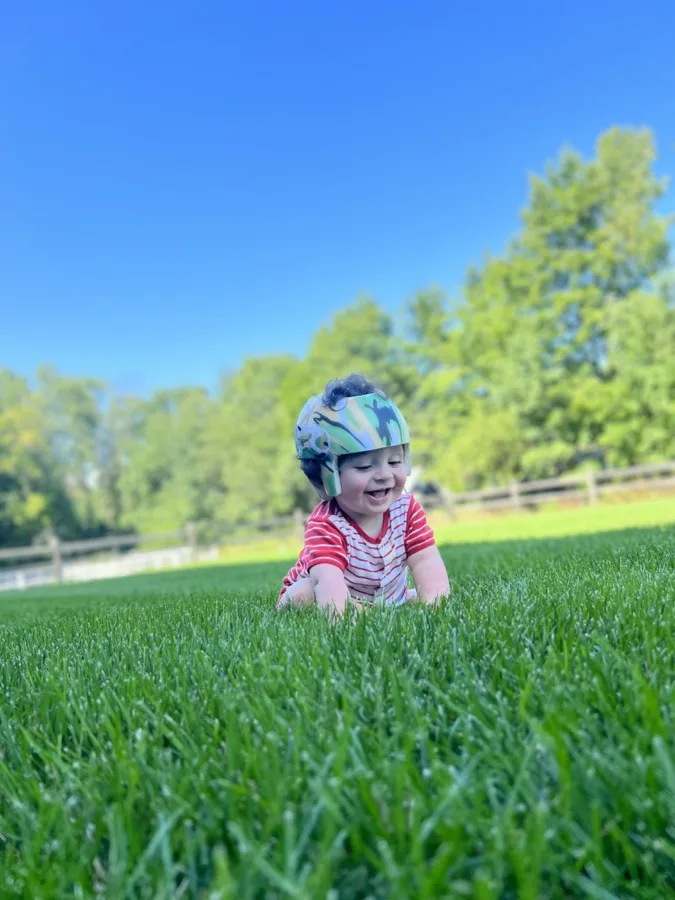 Thick, healthy lawn maintained by Nicholls Landscaping